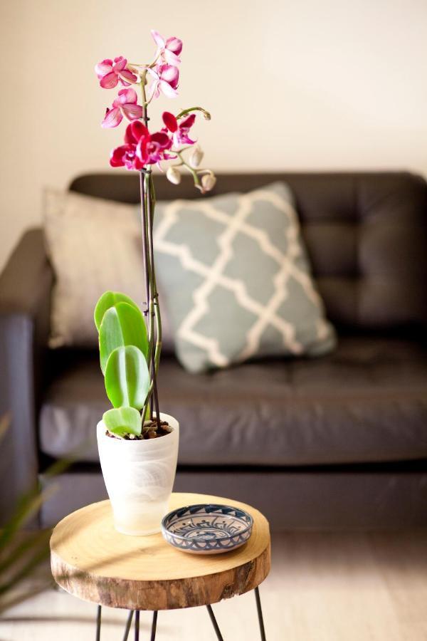 Authentic Charming Apartment/Wifi/Air Conditioning Valenza Esterno foto